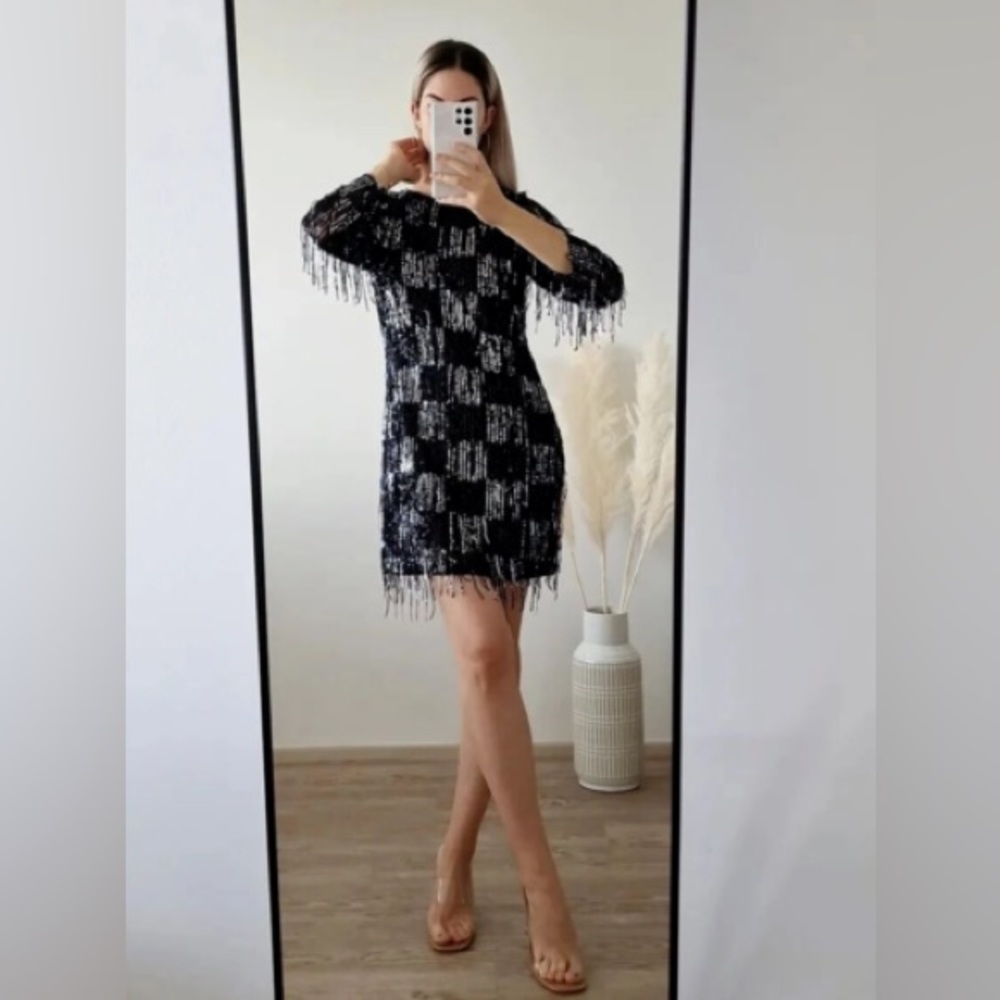 NWT Zara Sequin Fringed Mini Dress - Picture 1 of 9